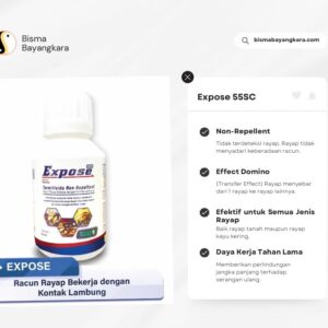 Expose 55SC: Termitisida Non-Repellent